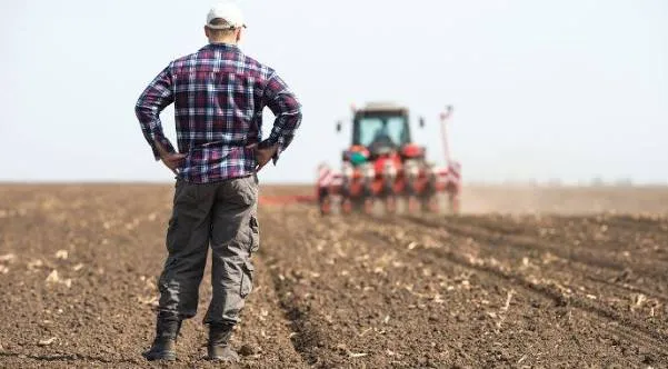 Як аграріям уникнути кримінальних ризиків та обшуків