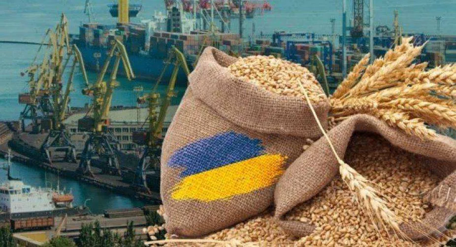 Юридичний алгоритм експорту агропродукції для виробників